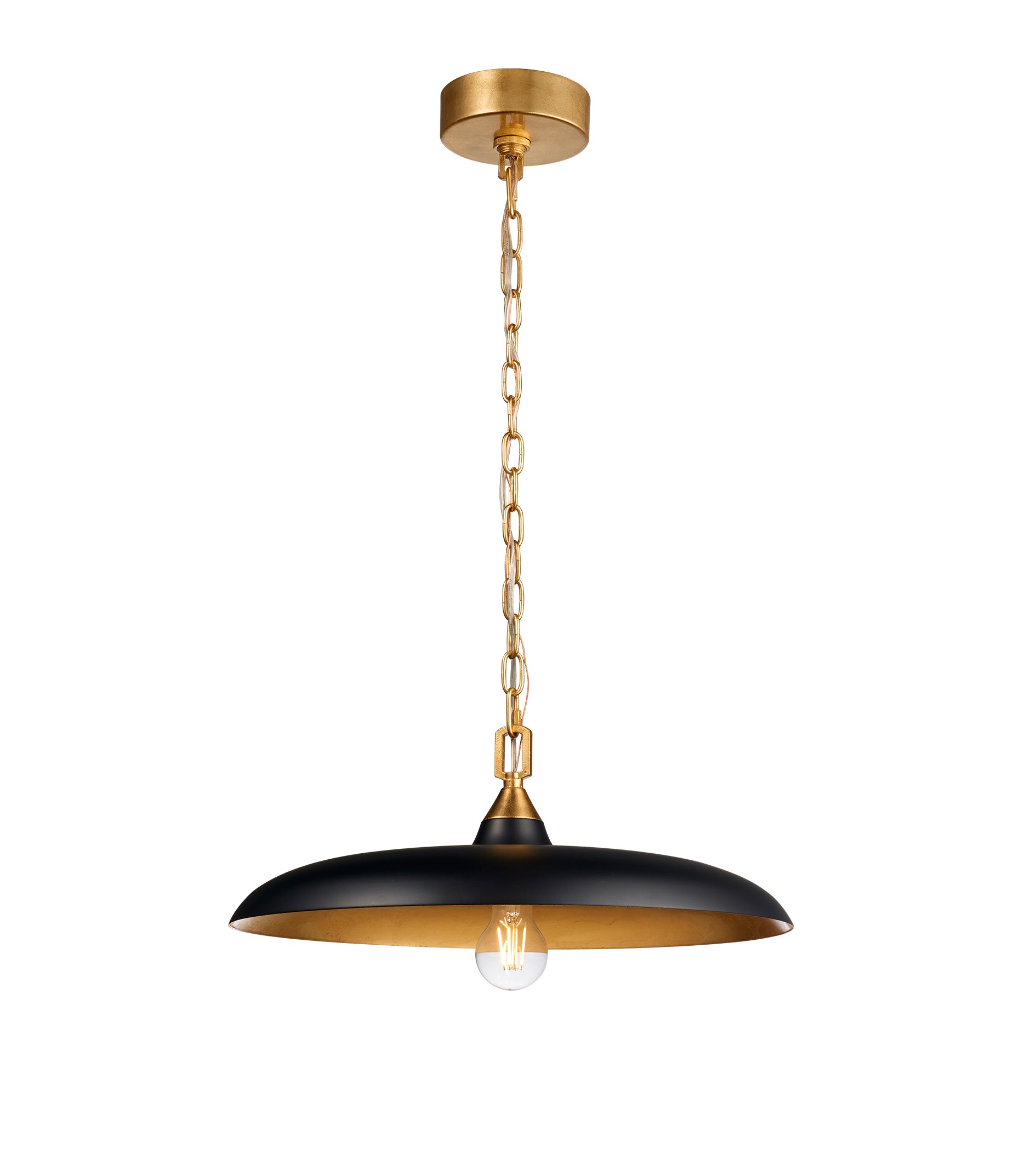 Transitional Pendant Light